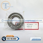 Vòng Bi 6205-2Z SKF (1)